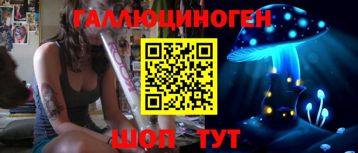 Галлюциногенные грибы Psilocybe  Вход с VPN  Кыштым 