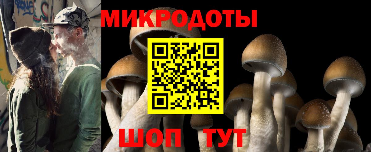 Псилоцибиновые грибы GOLDEN TEACHER Кыштым
